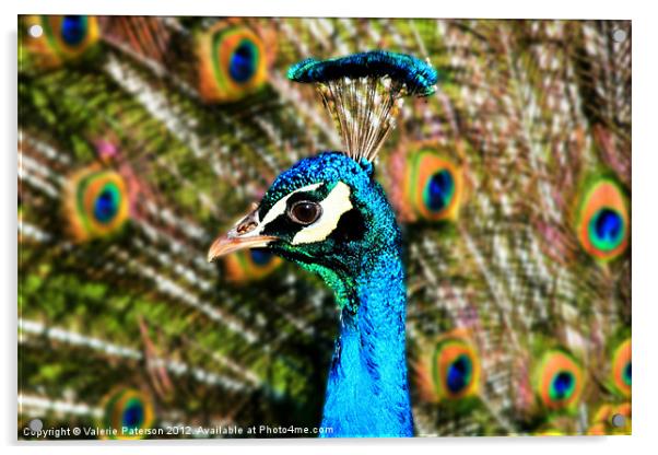 Peacock Blue Acrylic by Valerie Paterson
