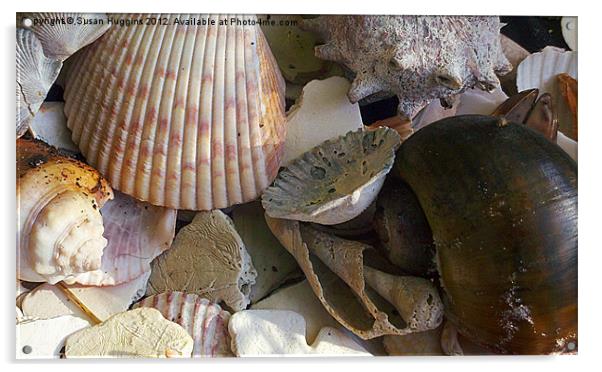 Seashells on the shore Acrylic by Susan Medeiros