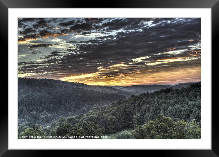 Forest Sunrise Framed Mounted Print by David Tinsley
