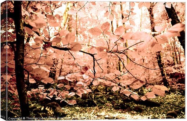 Pink Tree Forest Canvas Print by Thomas Lynch