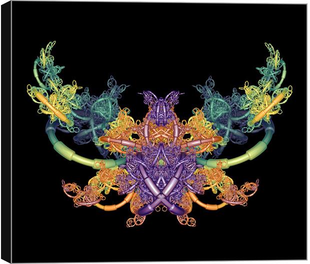 Fractal Butterfly Canvas Print by Nicholas Burningham
