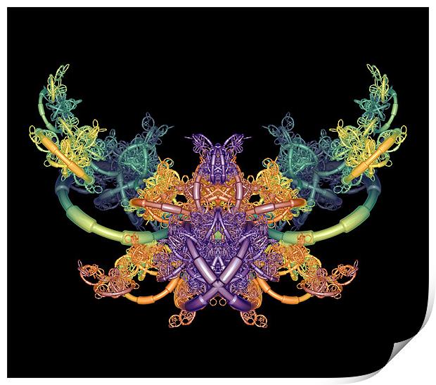 Fractal Butterfly Print by Nicholas Burningham