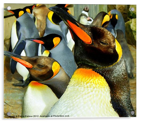 King Penguin  Acrylic by Paula Palmer canvas