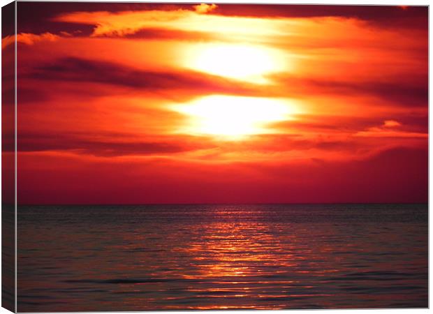 Lake Erie Sunset Canvas Print by olivia allan