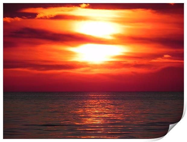 Lake Erie Sunset Print by olivia allan