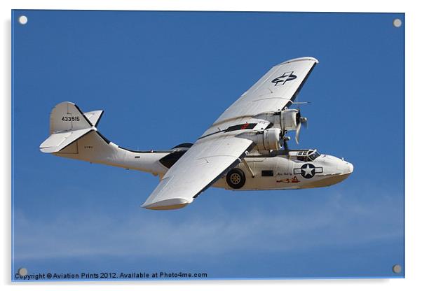 Consolidated PBY Catalina Acrylic by Oxon Images