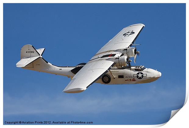 Consolidated PBY Catalina Print by Oxon Images