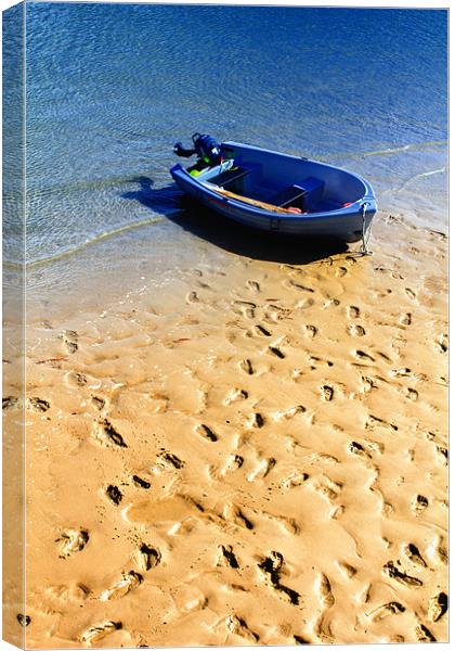 Footprints In The Sand Canvas Print by Anthony Michael 