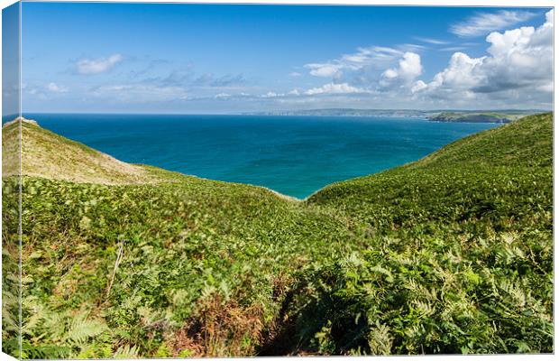 Port Quin Bay Canvas Print by Jonathan Swetnam