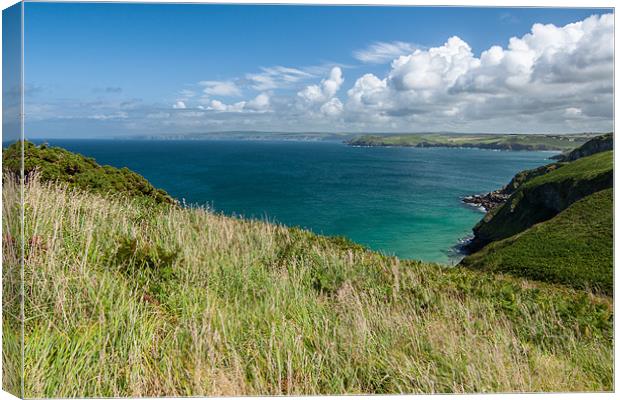 Port Quin Bay Canvas Print by Jonathan Swetnam