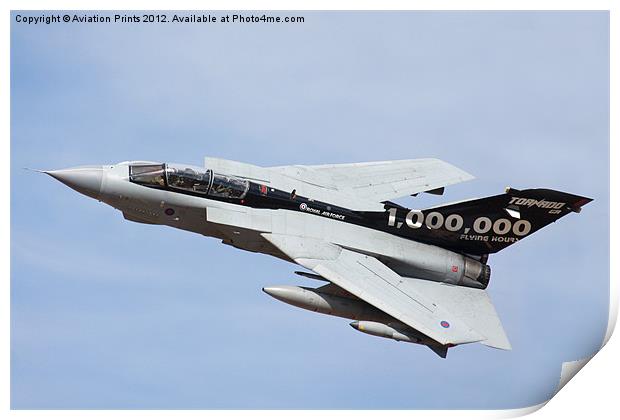 Panavia Tornado GR4 Duxford 2012 Print by Oxon Images