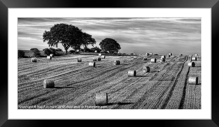 Hay Roles,black and white Framed Mounted Print by Ray Pritchard