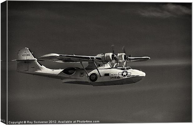 Catalina Canvas Print by Roy Scrivener