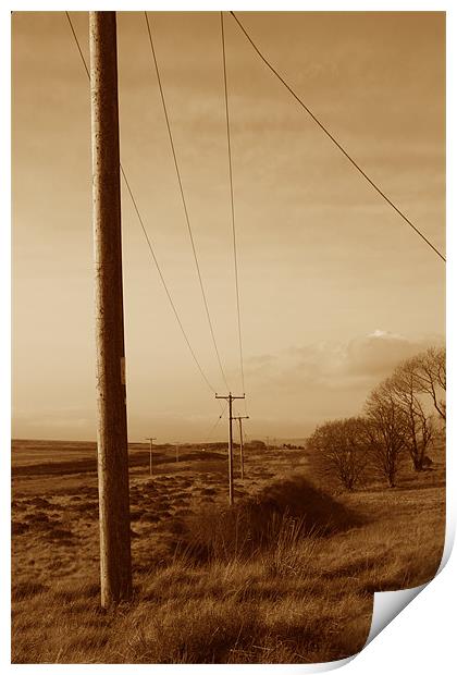 Western Look Electrical Poles Print by Richie Fitzgerald