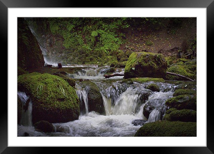 The River Waits For Nobody Framed Mounted Print by Neale Evison