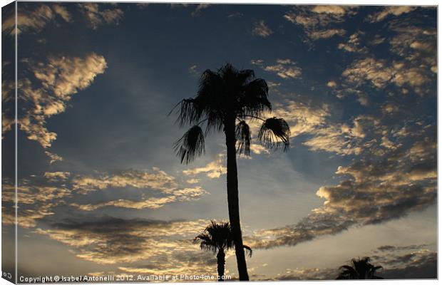 Sunset Palms Canvas Print by Isabel Antonelli