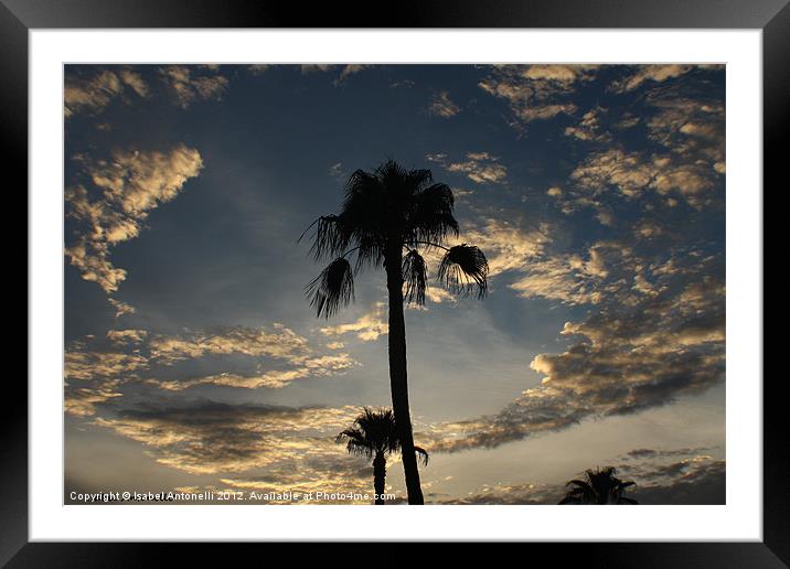 Sunset Palms Framed Mounted Print by Isabel Antonelli