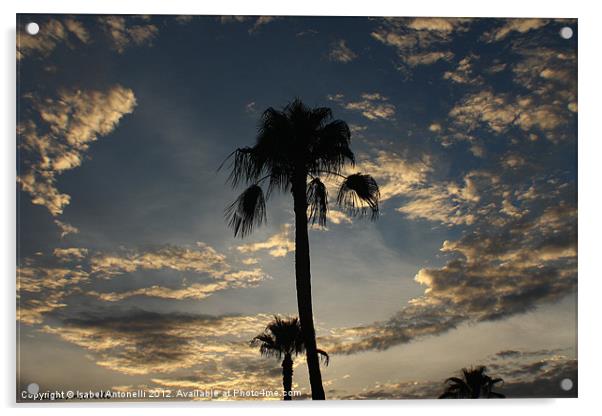 Sunset Palms Acrylic by Isabel Antonelli