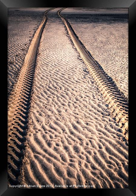 Sand Tracks Framed Print by Adrian Evans