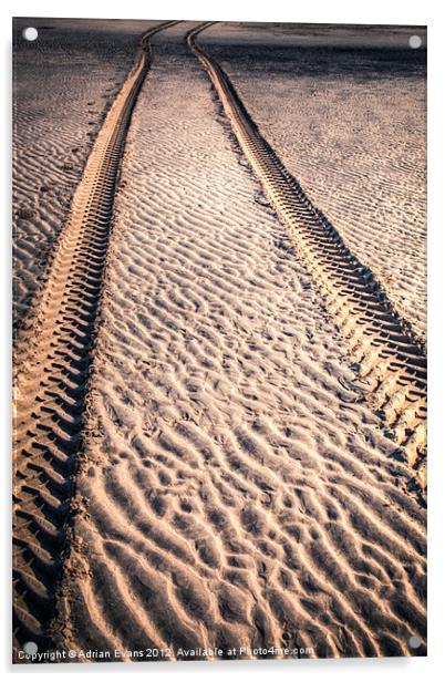 Sand Tracks Acrylic by Adrian Evans