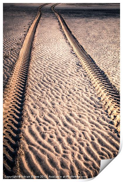 Sand Tracks Print by Adrian Evans