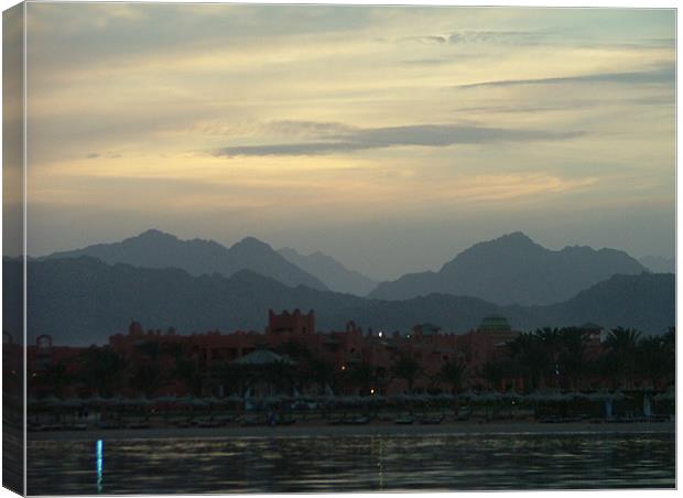 egypt sunset in march Canvas Print by john homer