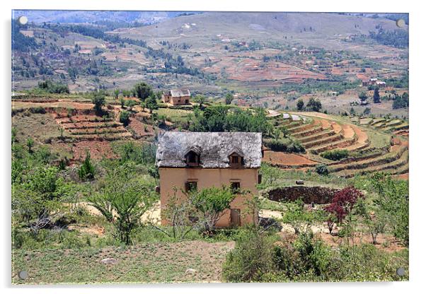 Typical housing of Highland Madagascar Acrylic by Gail Johnson