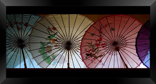 parasols Framed Print by Heather Newton