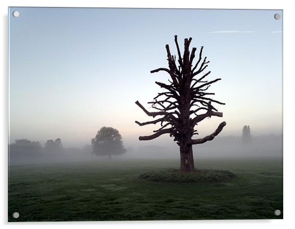 Beautiful misty morning Acrylic by mark graham