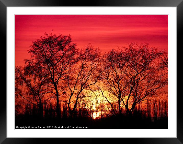 Trees in the Sunset Framed Mounted Print by John Dunbar