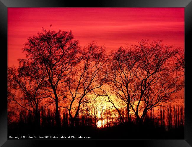Trees in the Sunset Framed Print by John Dunbar