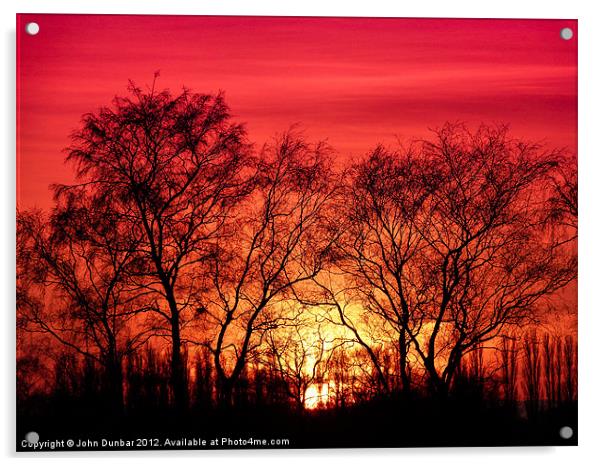 Trees in the Sunset Acrylic by John Dunbar