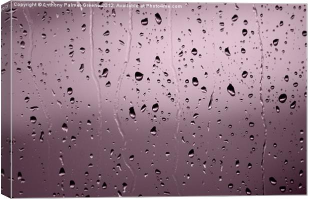 Rain Drops Canvas Print by Anthony Palmer-Greene