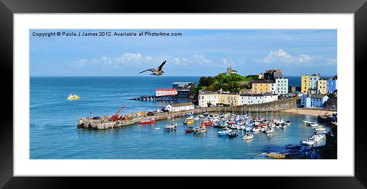 Giant Seagull flying over Tenby Harbour Framed Mounted Print by Paula J James