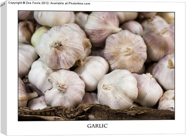 Fresh Garlic at the Market Canvas Print by Zoe Ferrie