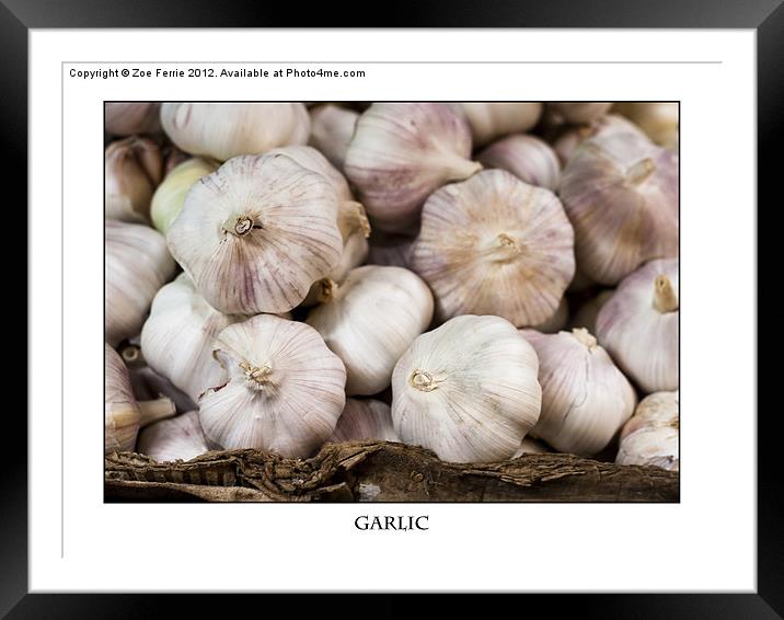 Fresh Garlic at the Market Framed Mounted Print by Zoe Ferrie