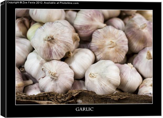 Fresh Garlic at the Market Canvas Print by Zoe Ferrie