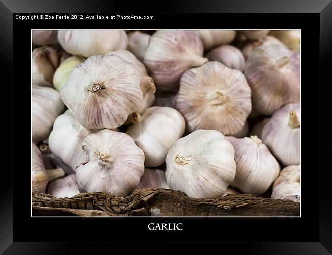 Fresh Garlic at the Market Framed Print by Zoe Ferrie