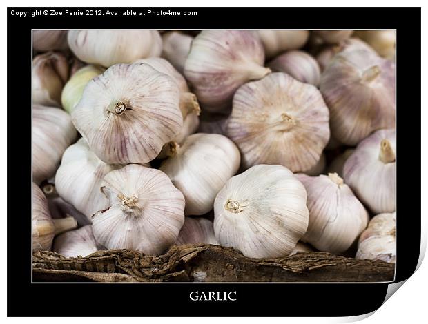 Fresh Garlic at the Market Print by Zoe Ferrie