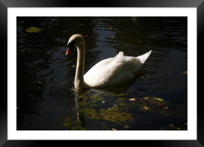 Magestic Waters. Framed Mounted Print by Heather Goodwin