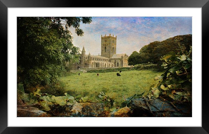 St Davids Cathedral Framed Mounted Print by Chris Manfield