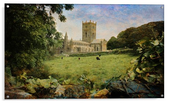 St Davids Cathedral Acrylic by Chris Manfield