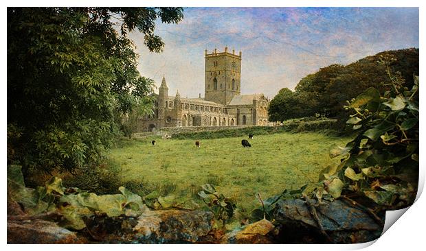St Davids Cathedral Print by Chris Manfield
