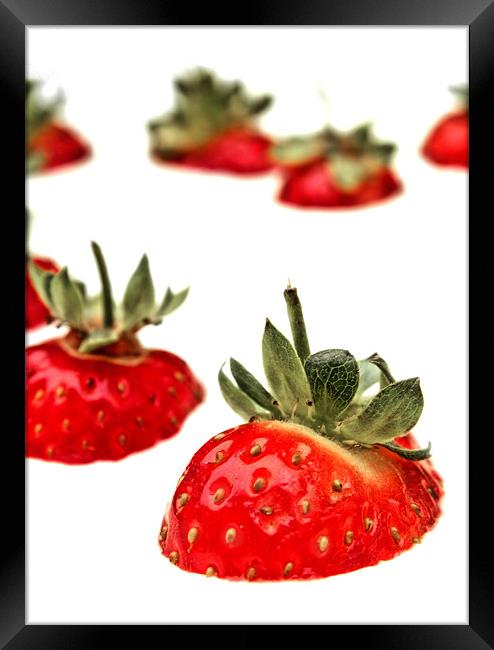 Strawberry Cream fields Framed Print by Chris Manfield