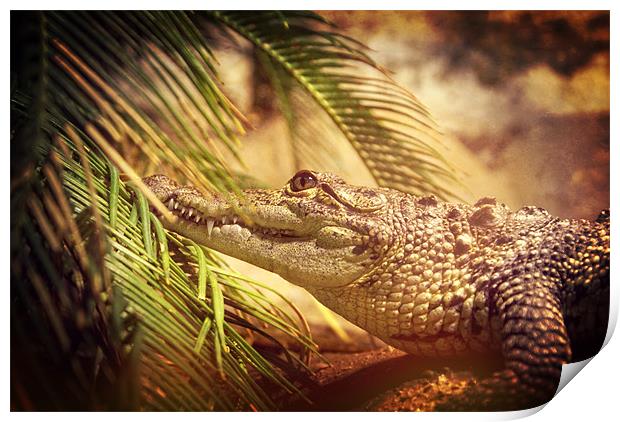 Crocodylus Moreletii Print by Maria Tzamtzi Photography