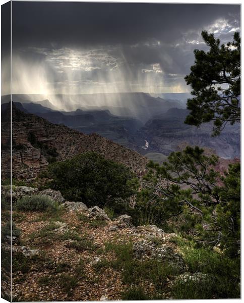 Grand Canyon Storm Canvas Print by simon  davies