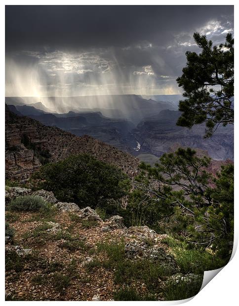 Grand Canyon Storm Print by simon  davies