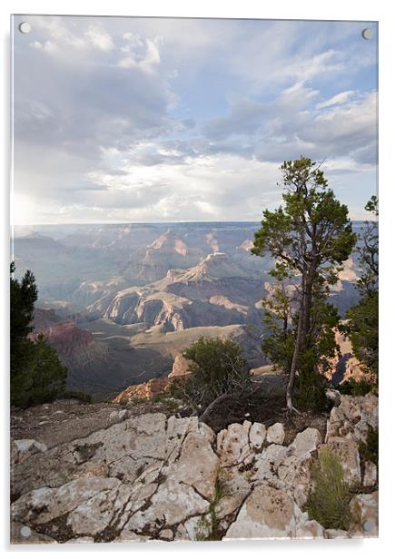 Grand Canyon Evening Acrylic by simon  davies