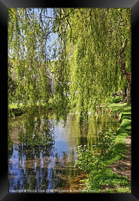 Willow Reflection Framed Print by Nicola Clark
