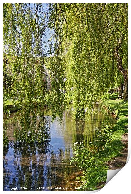 Willow Reflection Print by Nicola Clark